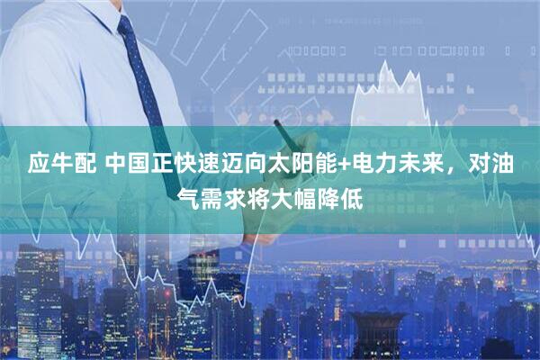 应牛配 中国正快速迈向太阳能+电力未来，对油气需求将大幅降低