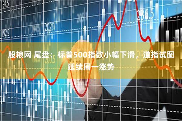 股粮网 尾盘：标普500指数小幅下滑，道指试图延续周一涨势