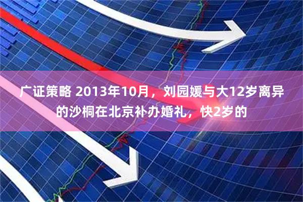 广证策略 2013年10月，刘园媛与大12岁离异的沙桐在北京补办婚礼，快2岁的