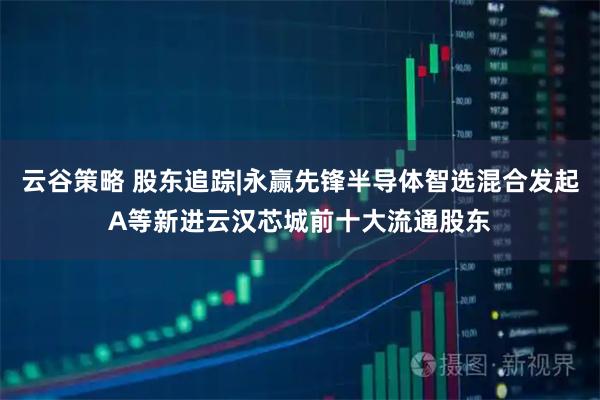 云谷策略 股东追踪|永赢先锋半导体智选混合发起A等新进云汉芯城前十大流通股东