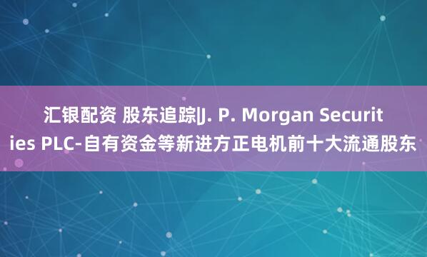 汇银配资 股东追踪|J. P. Morgan Securities PLC-自有资金等新进方正电机前十大流通股东