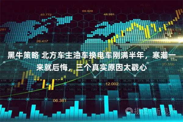 黑牛策略 北方车主油车换电车刚满半年，寒潮一来就后悔，三个真实原因太戳心