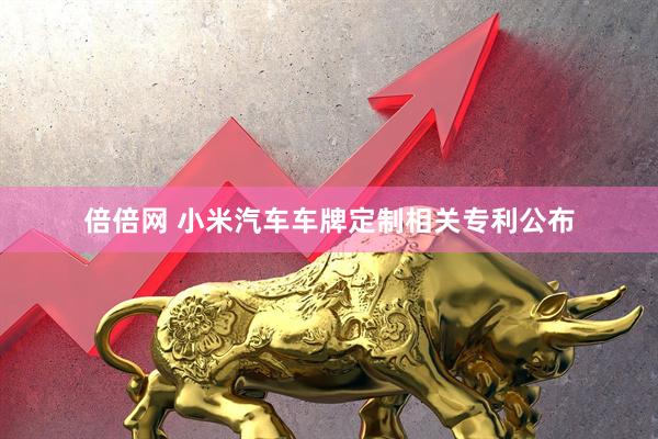 倍倍网 小米汽车车牌定制相关专利公布