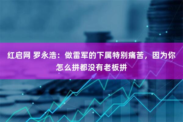 红启网 罗永浩：做雷军的下属特别痛苦，因为你怎么拼都没有老板拼