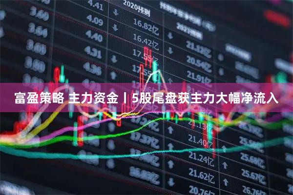 富盈策略 主力资金丨5股尾盘获主力大幅净流入