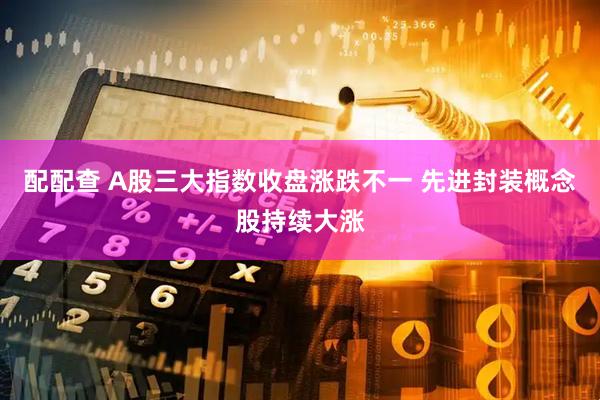配配查 A股三大指数收盘涨跌不一 先进封装概念股持续大涨