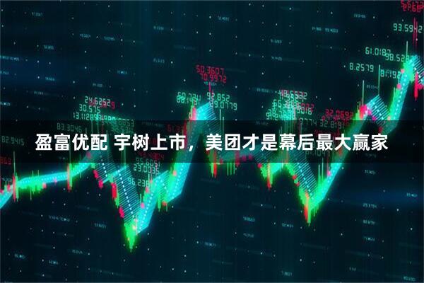 盈富优配 宇树上市,美团才是幕后最大赢家