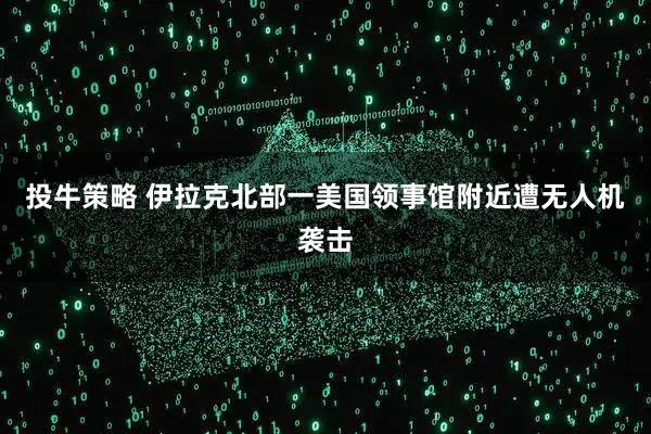 投牛策略 伊拉克北部一美国领事馆附近遭无人机袭击