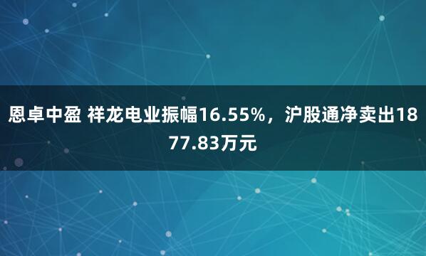 恩卓中盈 祥龙电业振幅16.55%，沪股通净卖出1877.83万元