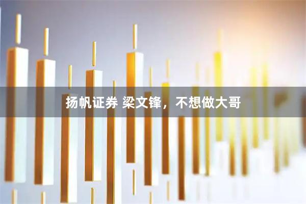 扬帆证券 梁文锋，不想做大哥
